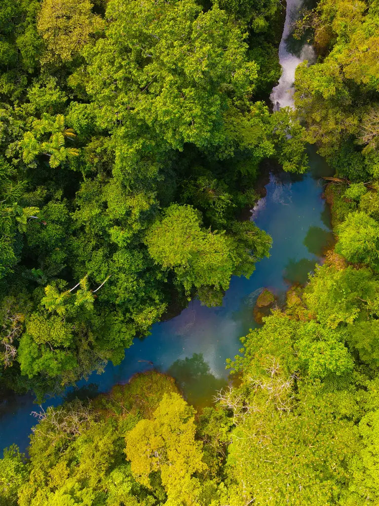4 Tage im Corcovado Nationalpark in Costa Rica